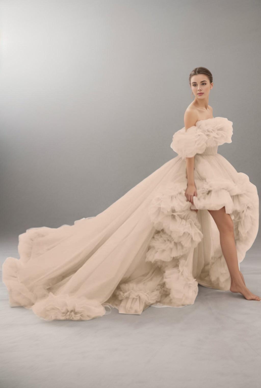 A-Line Court Train Tulle Prom Dress CS0406 - COCOMELODY