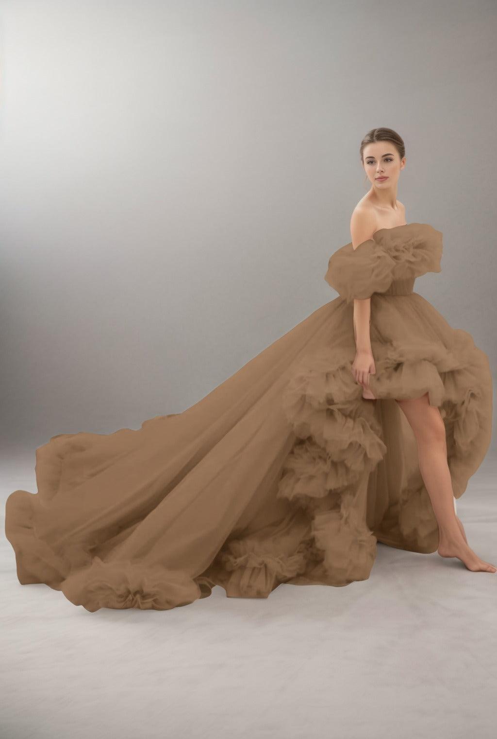 A-Line Court Train Tulle Prom Dress CS0406 - COCOMELODY
