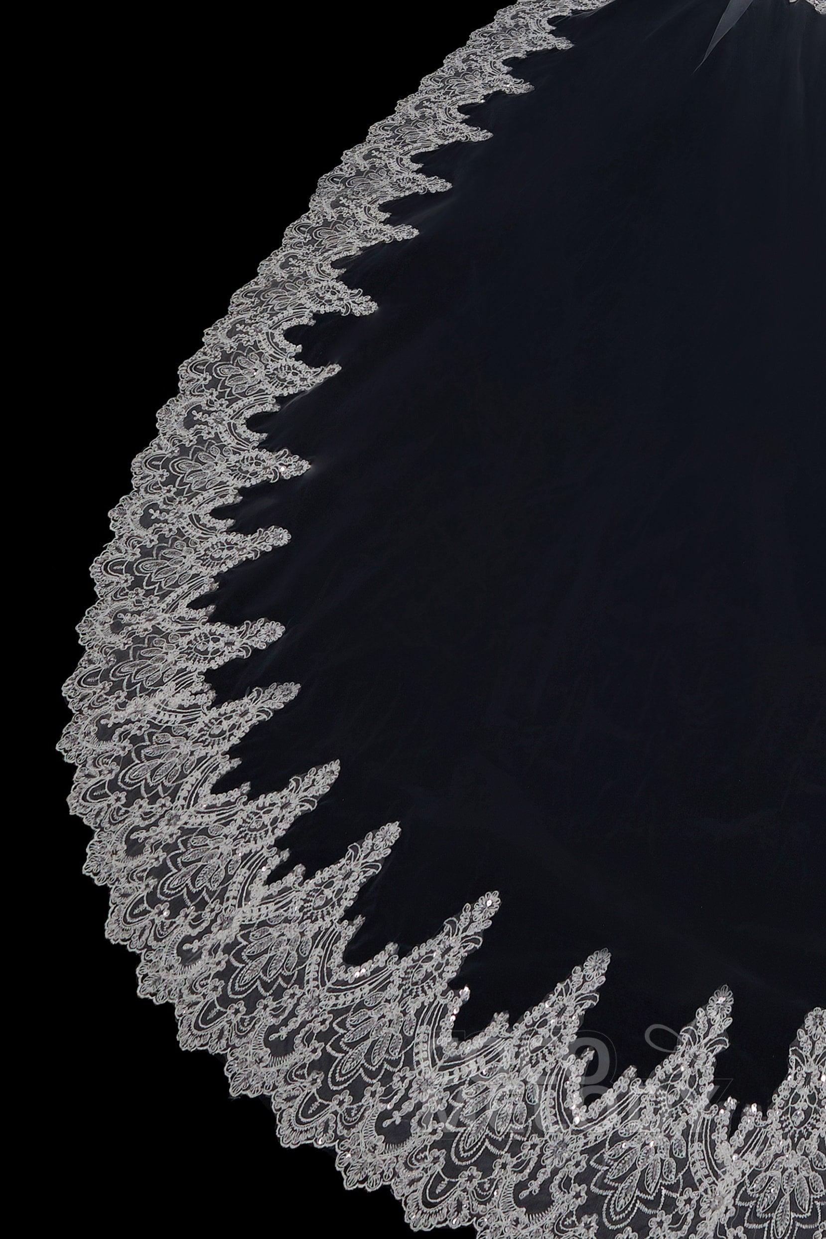 Two-tier Lace Edge Tulle Cathedral Veils Appliques AV18021 - COCOMELODY