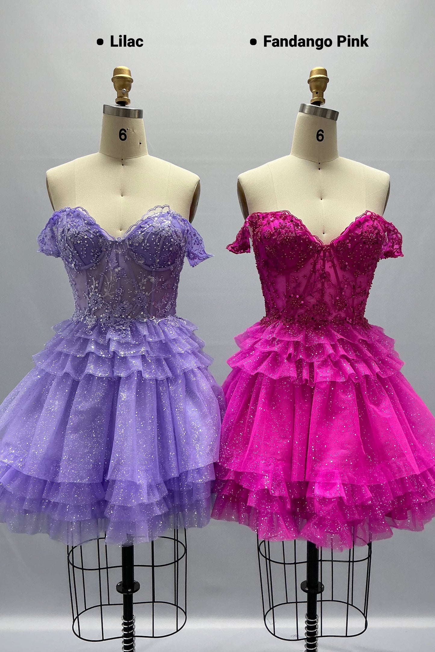 A-Line Mini Tulle Homecoming Dress CS1032
