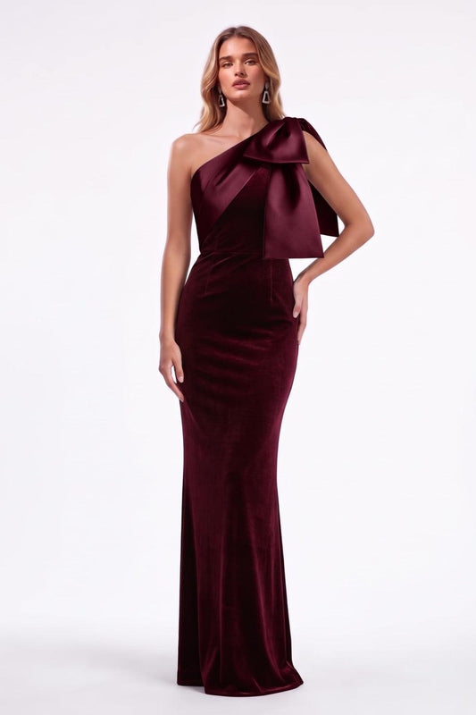 Sheath-Column Floor Length Velvet Satin Special Occasion Dress CS1096