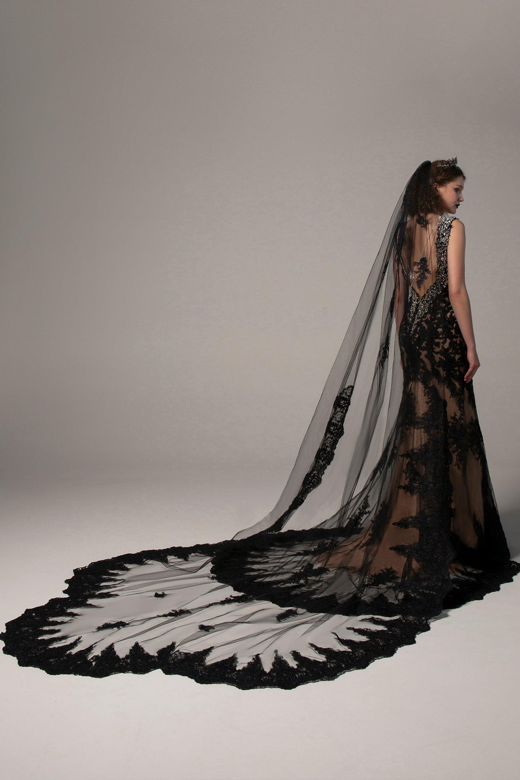 One-tier Lace Edge Tulle Cathedral Veils Appliques CV0232 - COCOMELODY