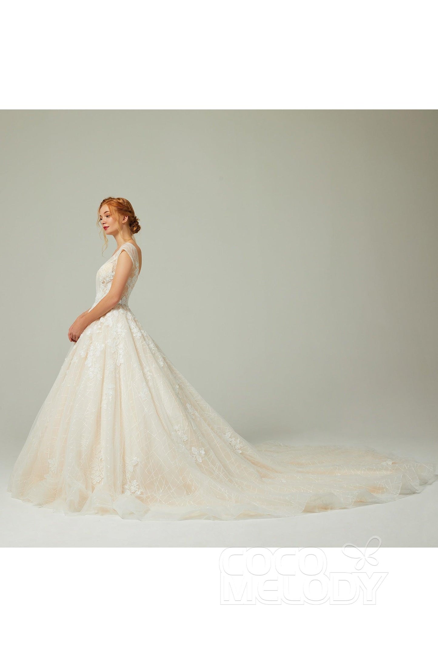 A-Line Chapel Train Tulle Wedding Dress CW2168 - COCOMELODY