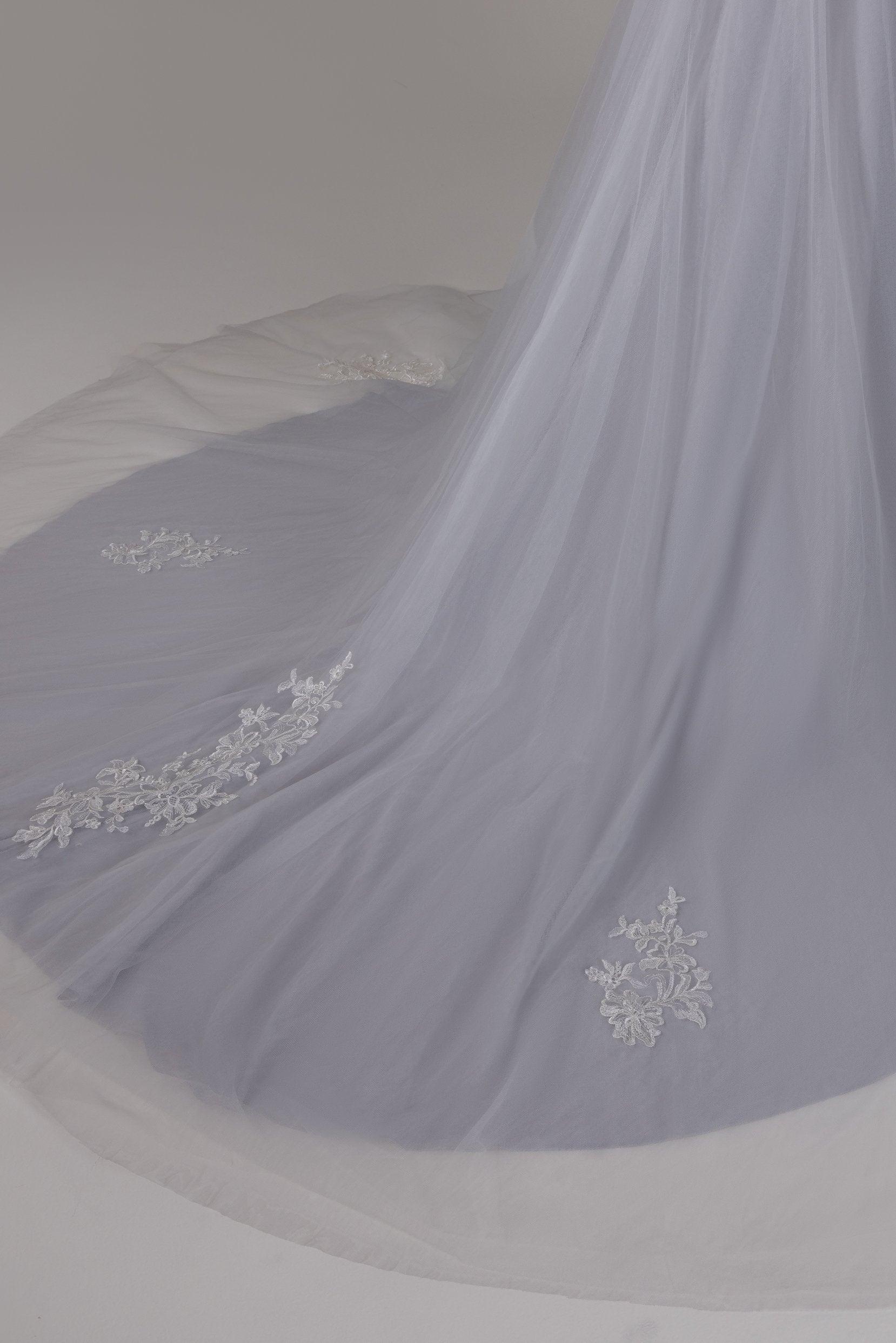 A-Line Chapel Train Lace Tulle Wedding Dress CW2807 - COCOMELODY