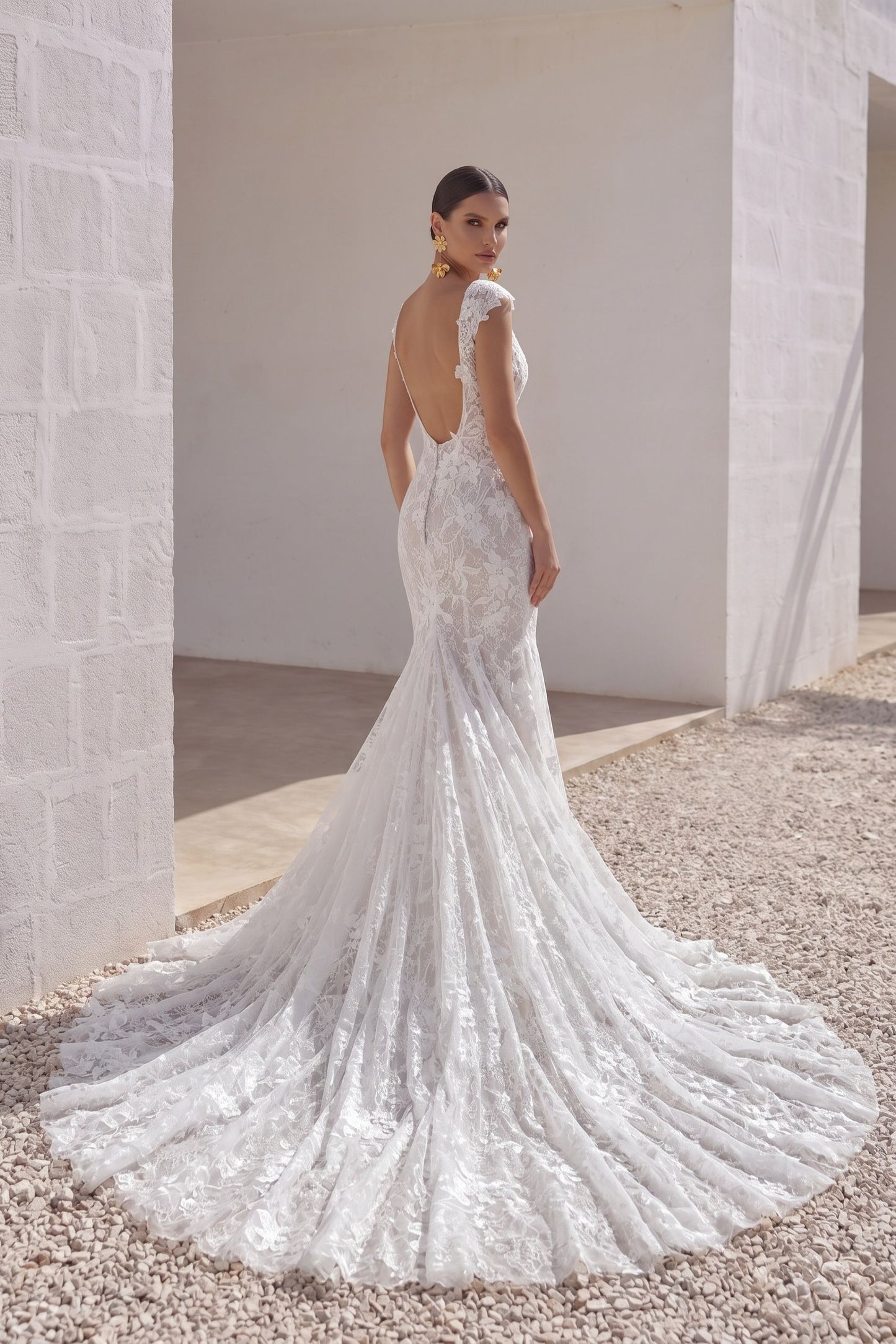 Trumpet-Mermaid Chapel Train Lace Tulle Wedding Dress CW3142