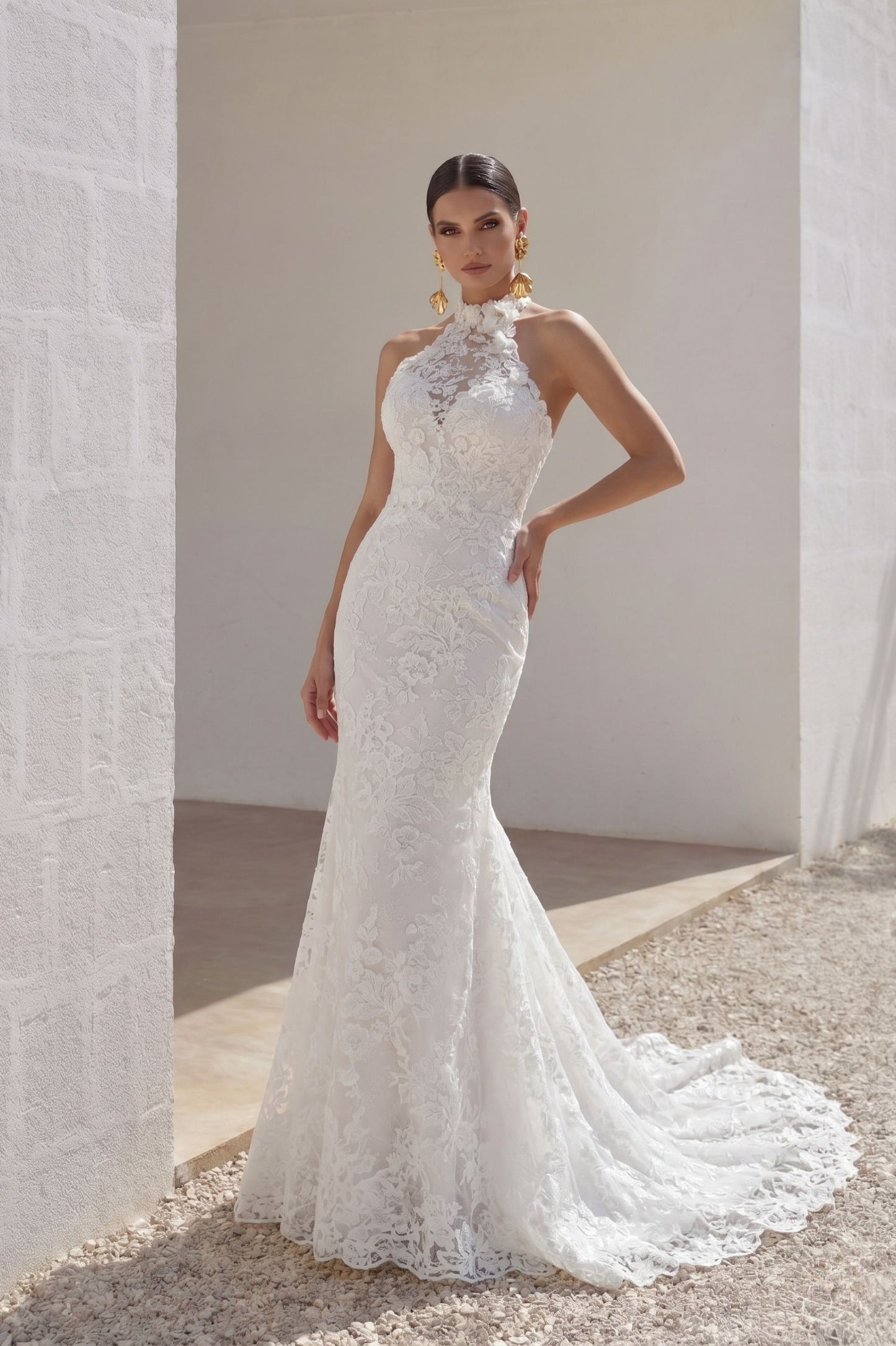 Trumpet-Mermaid Sweep-Brush Train Lace Tulle Wedding Dress CW3147