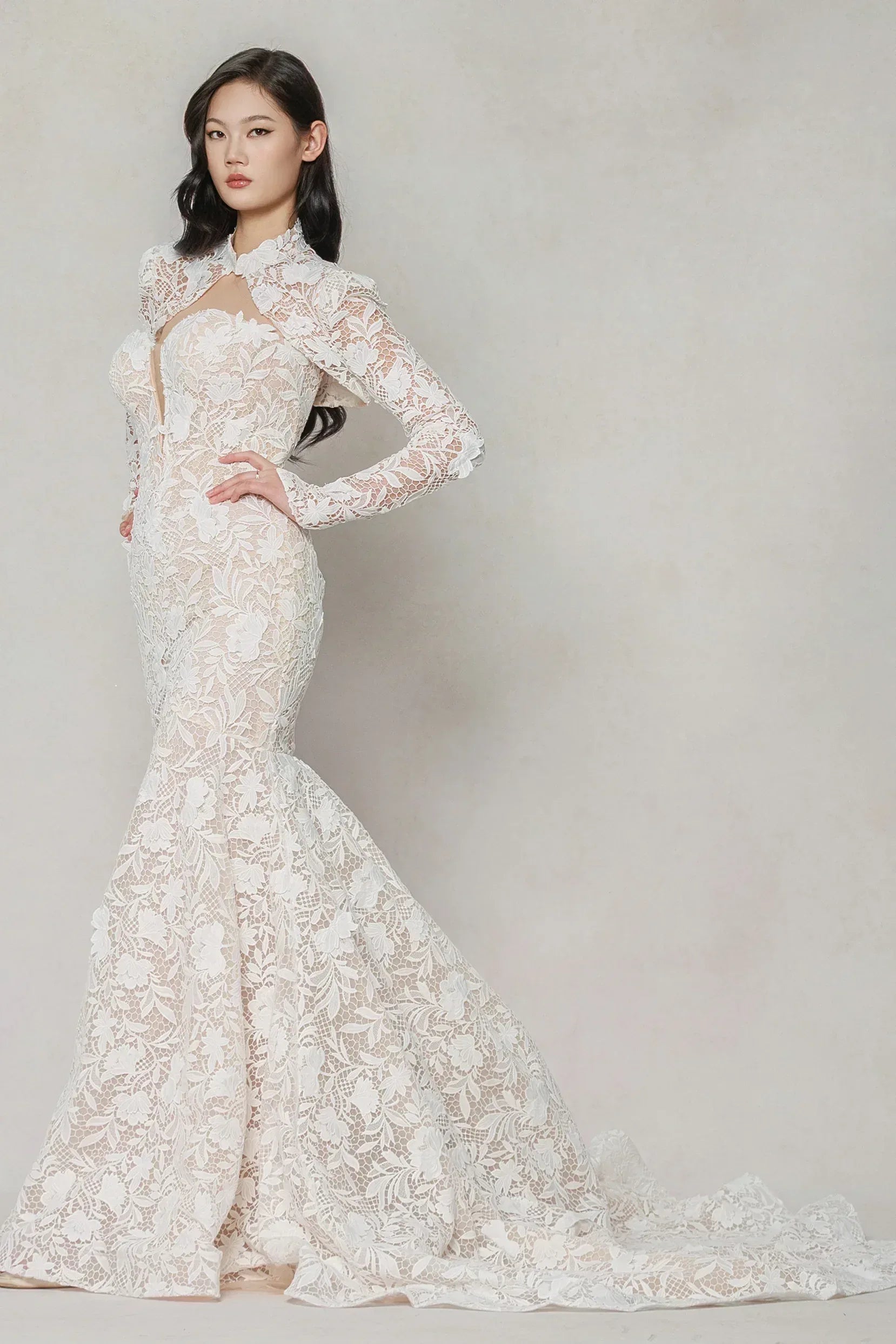 chapel train lace wedding dress Wedtrend Women Ivory Bridal Dress A Line Sweetheart Fringe Chapel Train Wedding Dresses With Long Sleeves, Ivory / US22W