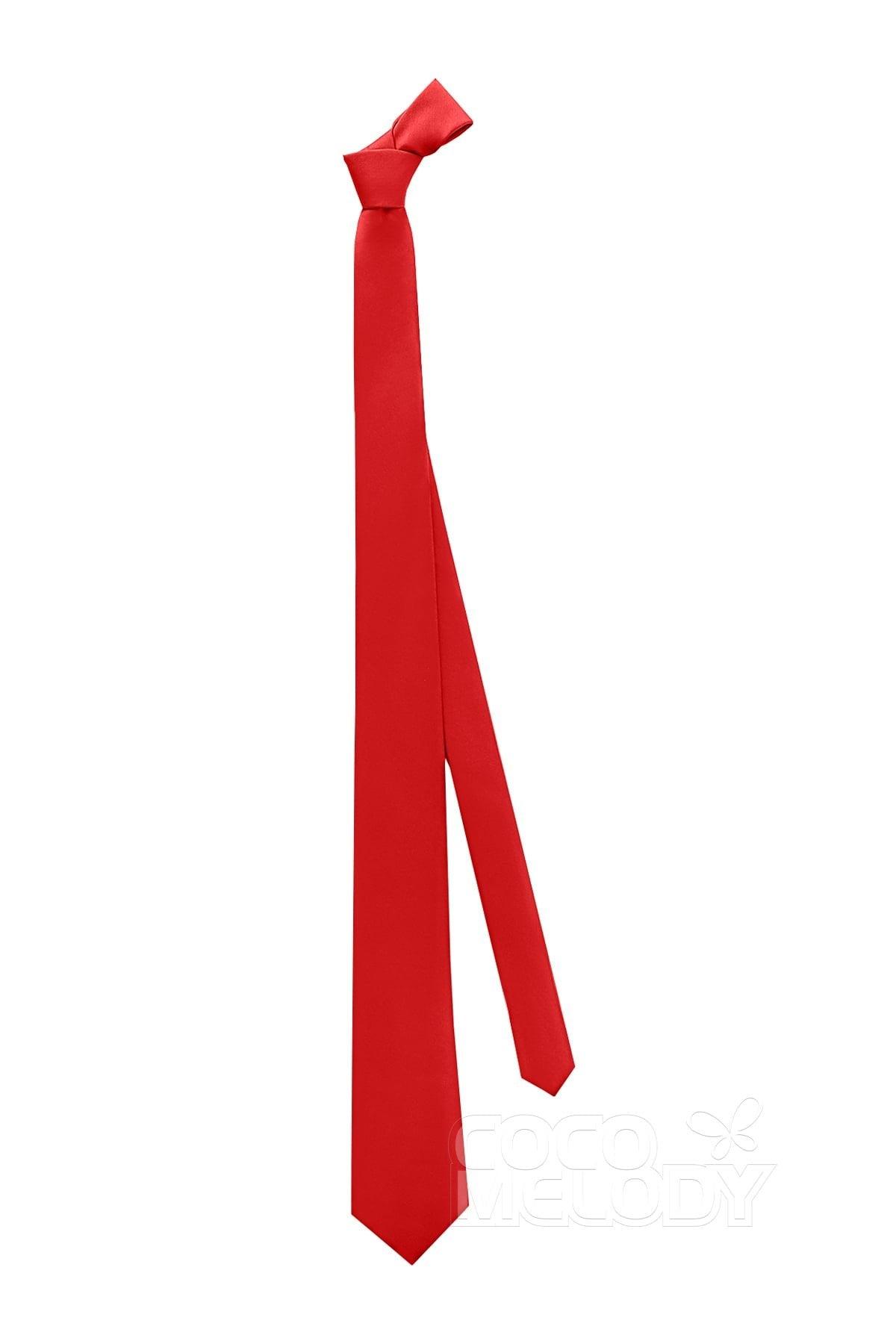 Men's Satin Necktie CZ180002 - COCOMELODY