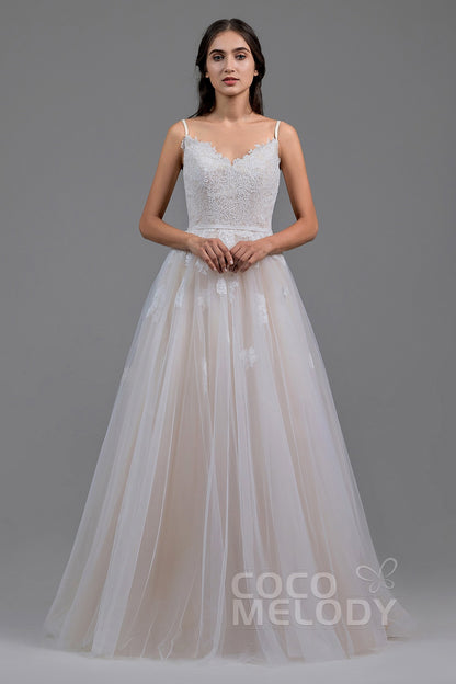 A-Line Sweep Train Tulle Lace Gothic Wedding Dress LD5821