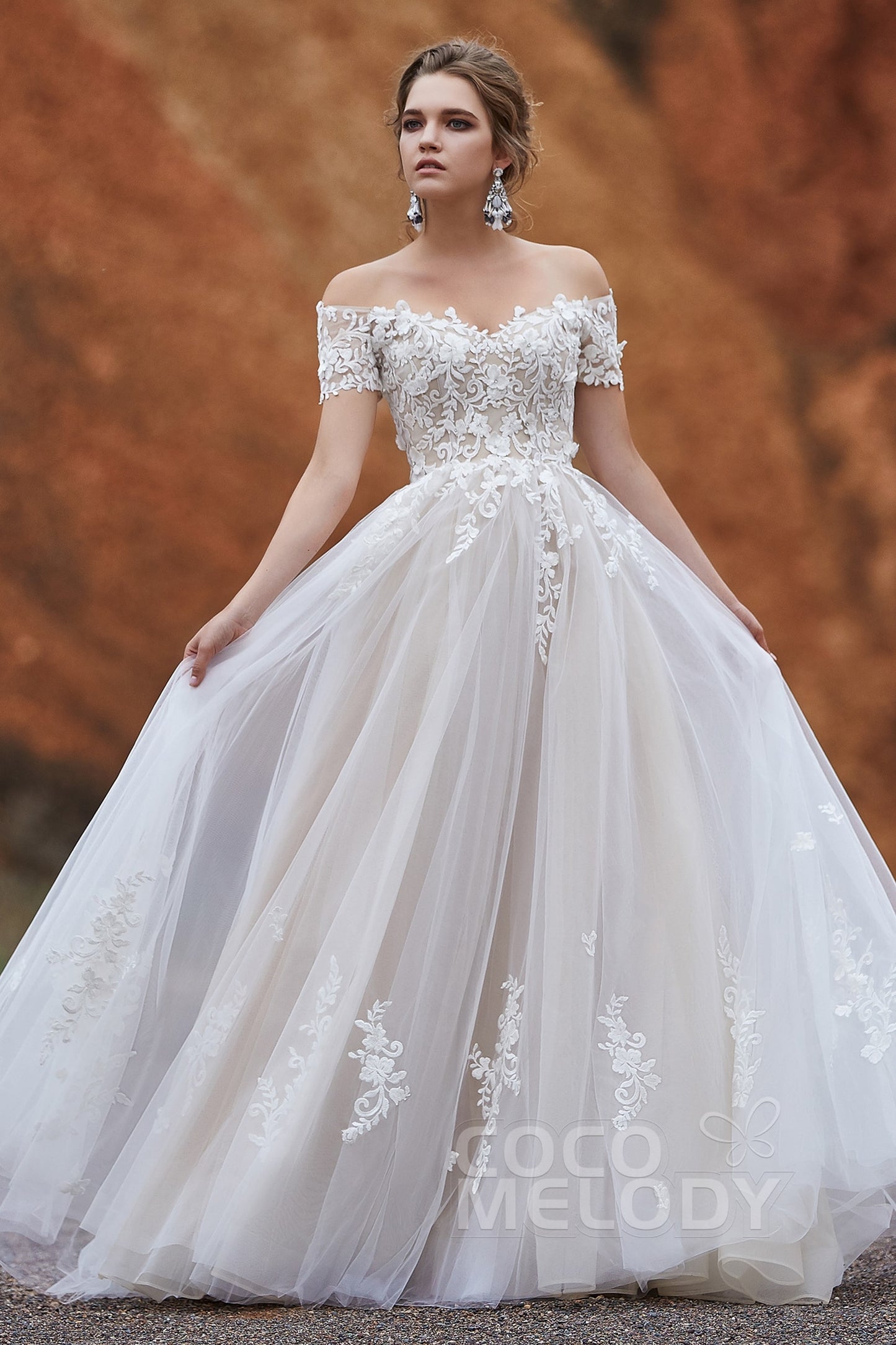 A-Line Sweep-Brush Train Tulle Gothic Wedding Dress LD5830
