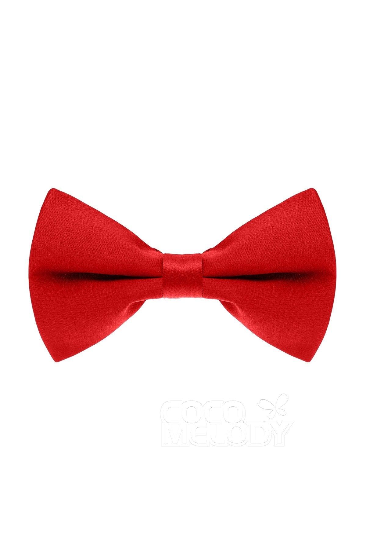 Men's Elastic Silk Like Satin Bow Ties CZ170016 - COCOMELODY
