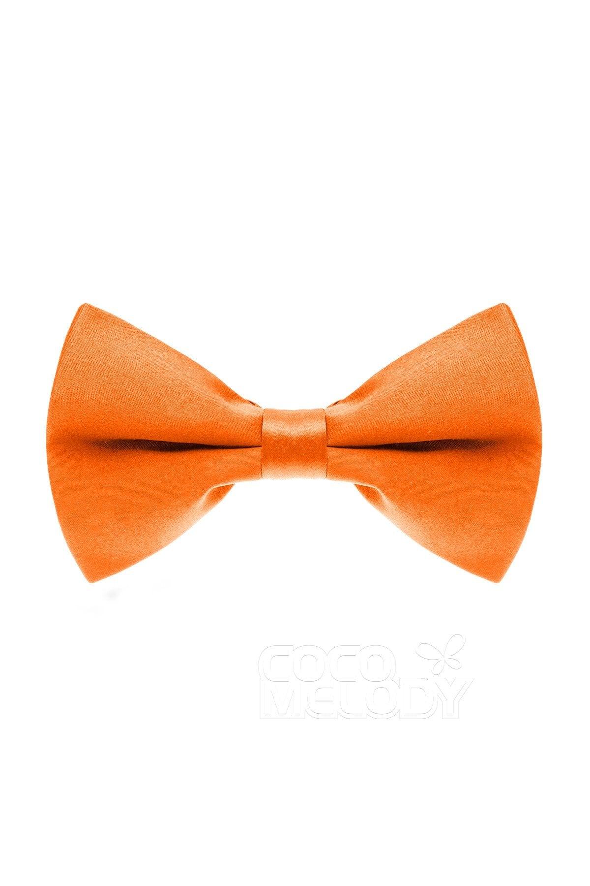 Men's Elastic Silk Like Satin Bow Ties CZ170016 - COCOMELODY