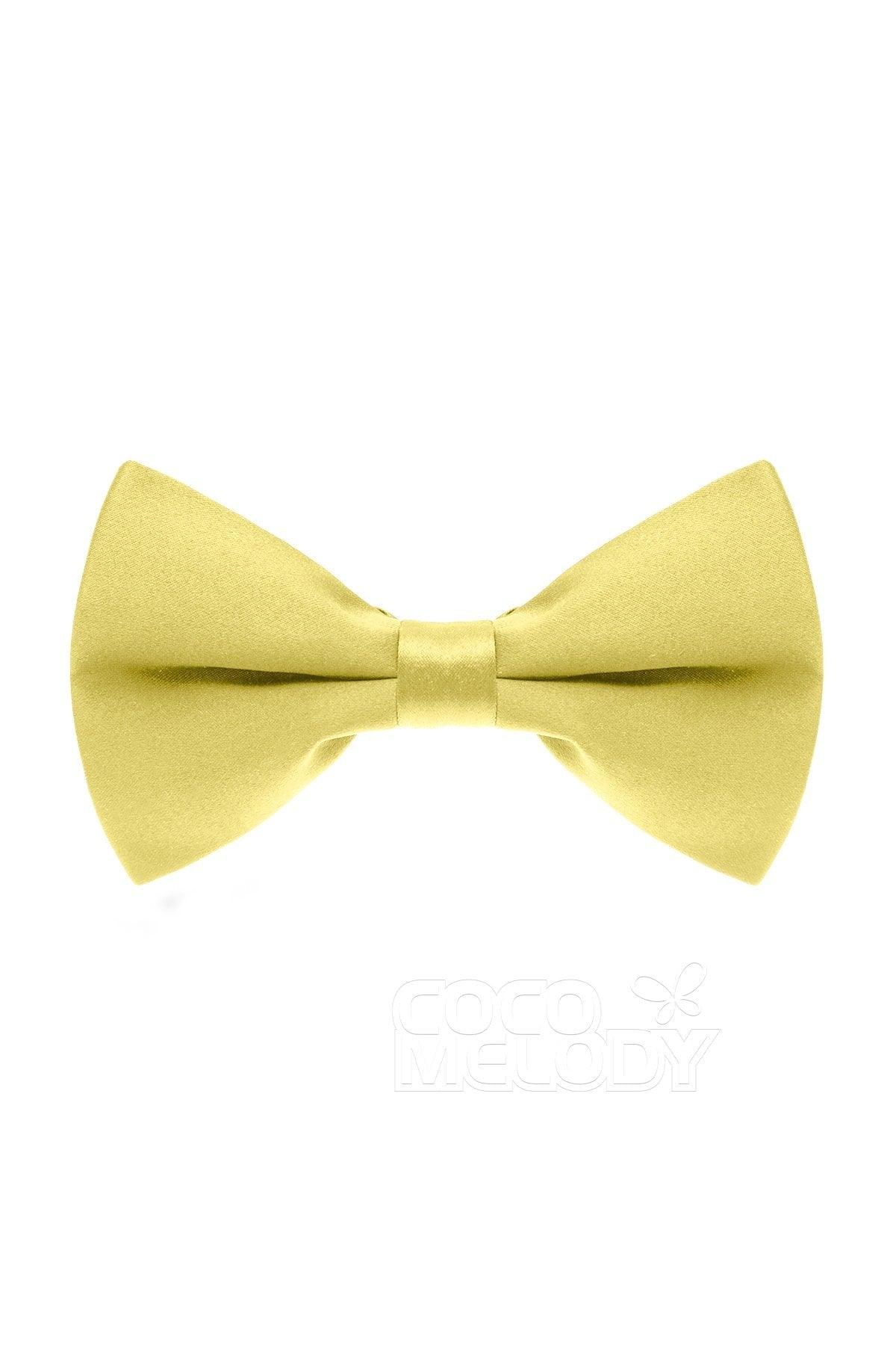 Men's Elastic Silk Like Satin Bow Ties CZ170016