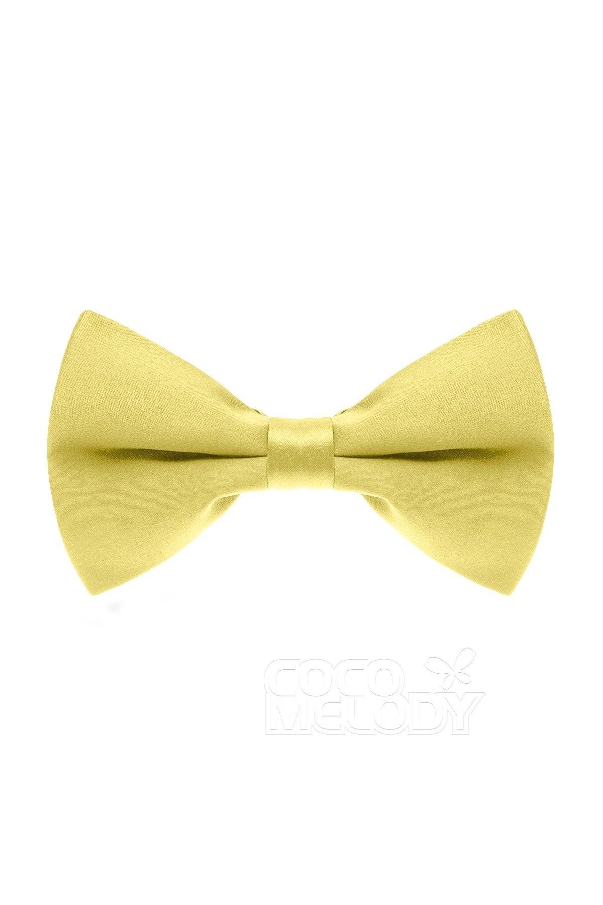 Men's Elastic Silk Like Satin Bow Ties CZ170016 - COCOMELODY