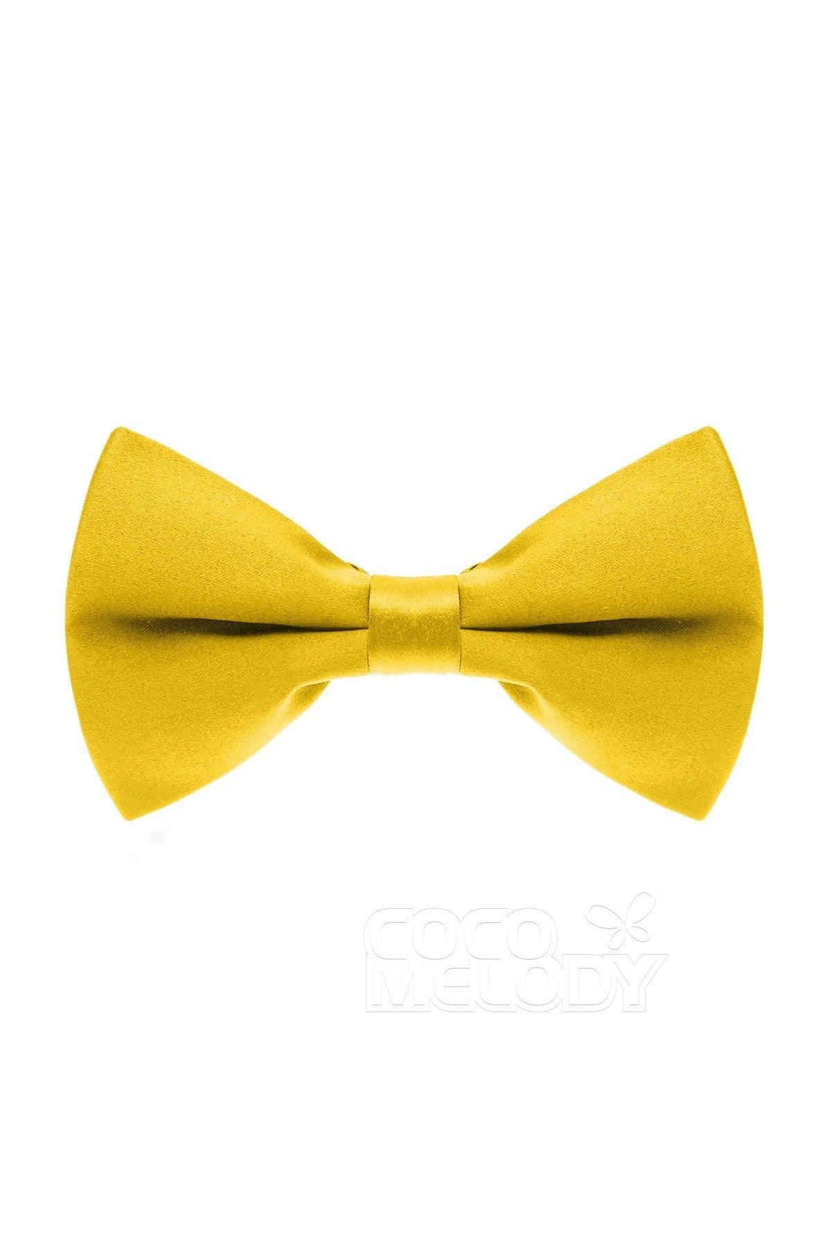 Men's Elastic Silk Like Satin Bow Ties CZ170016