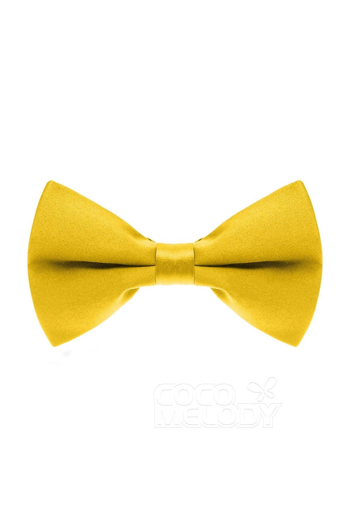 Men's Elastic Silk Like Satin Bow Ties CZ170016 - COCOMELODY