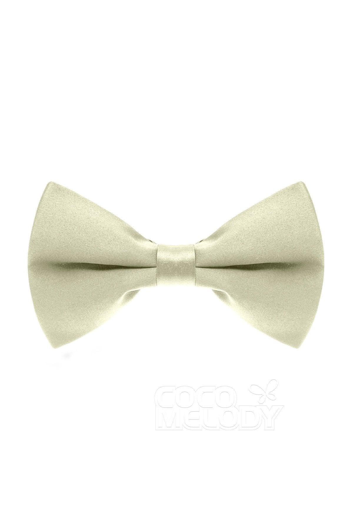 Men's Elastic Silk Like Satin Bow Ties CZ170016