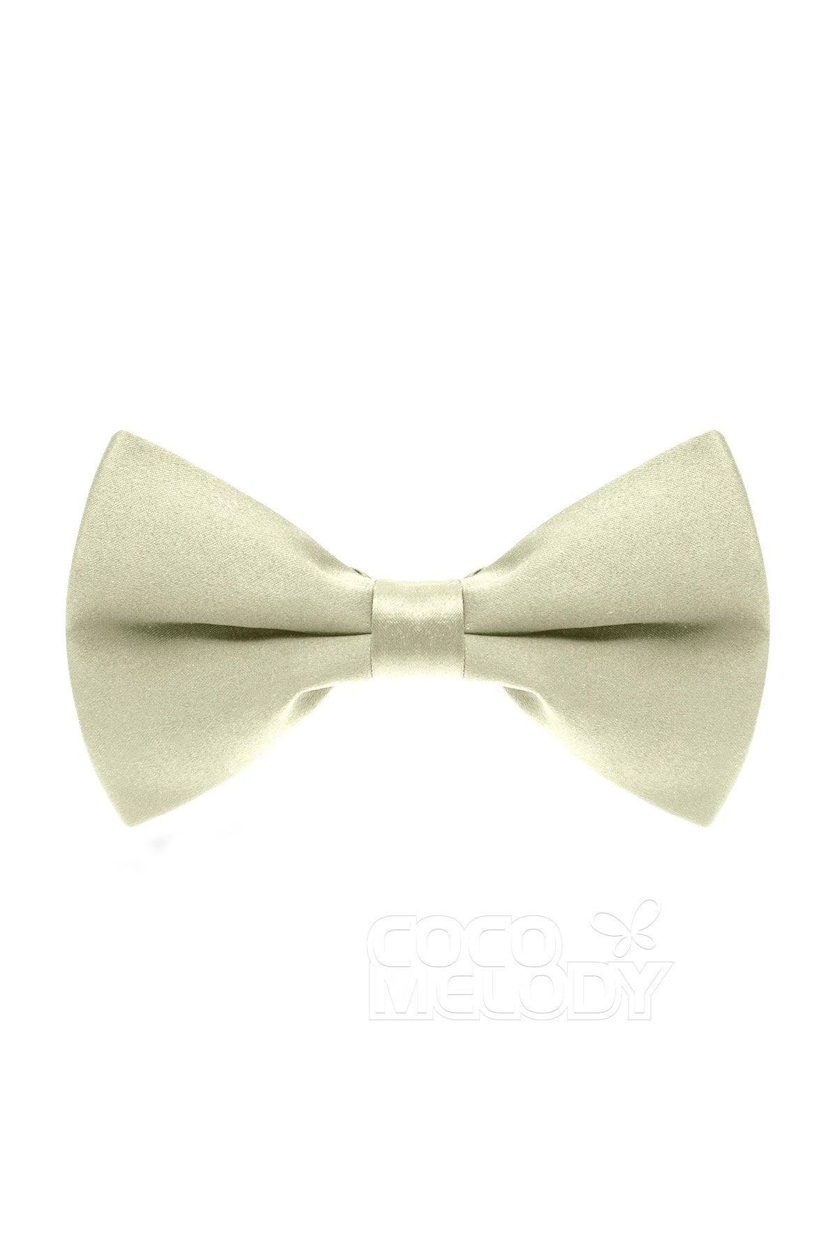 Men's Elastic Silk Like Satin Bow Ties CZ170016 - COCOMELODY