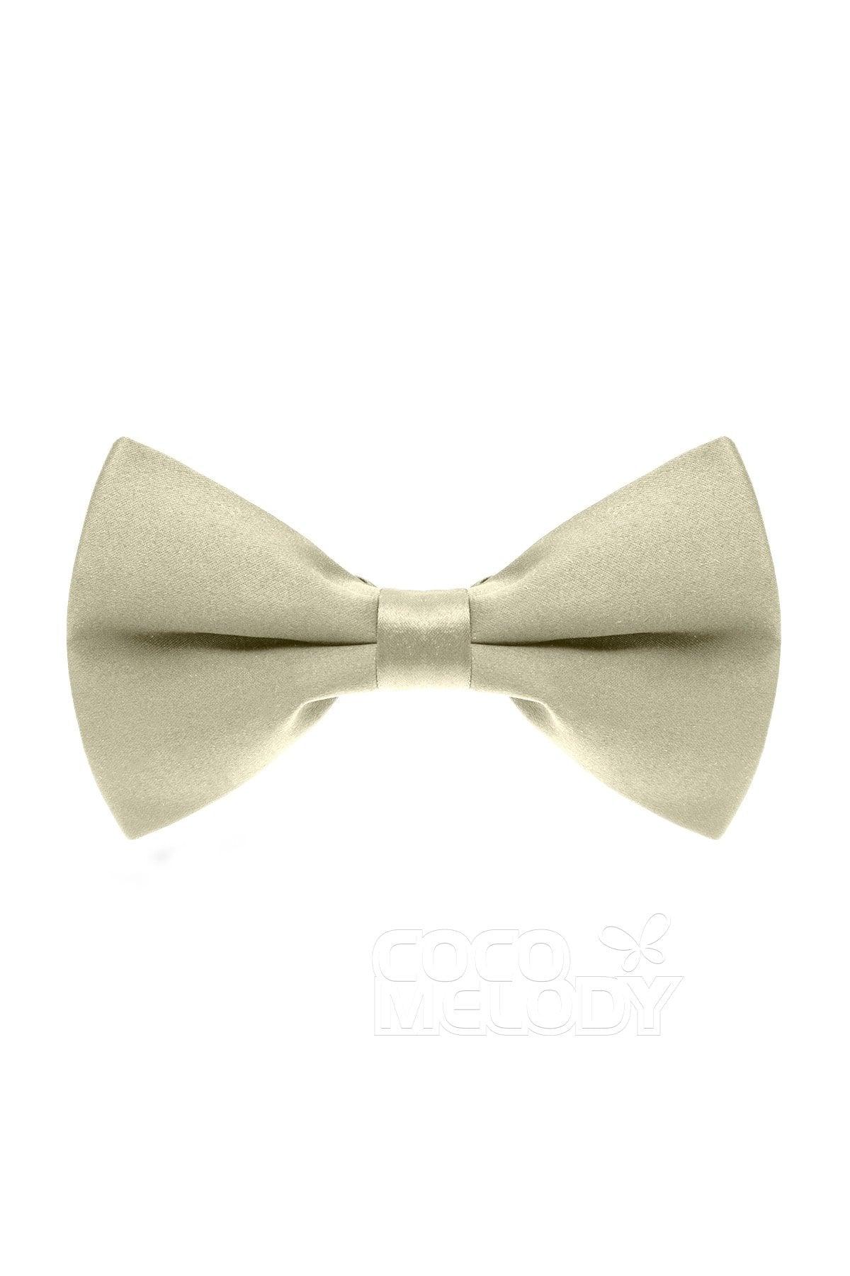 Men's Elastic Silk Like Satin Bow Ties CZ170016 - COCOMELODY