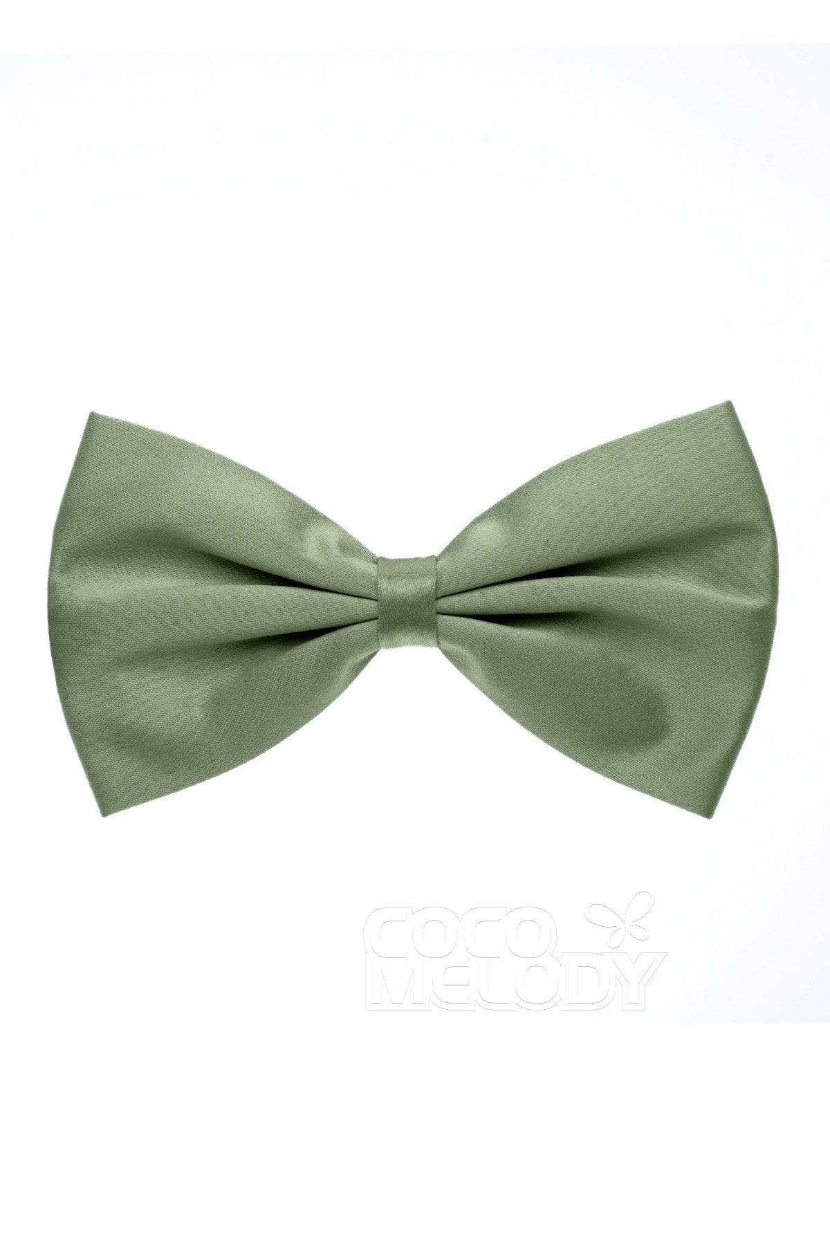 Men's Elastic Silk Like Satin Bow Ties CZ170017 - COCOMELODY