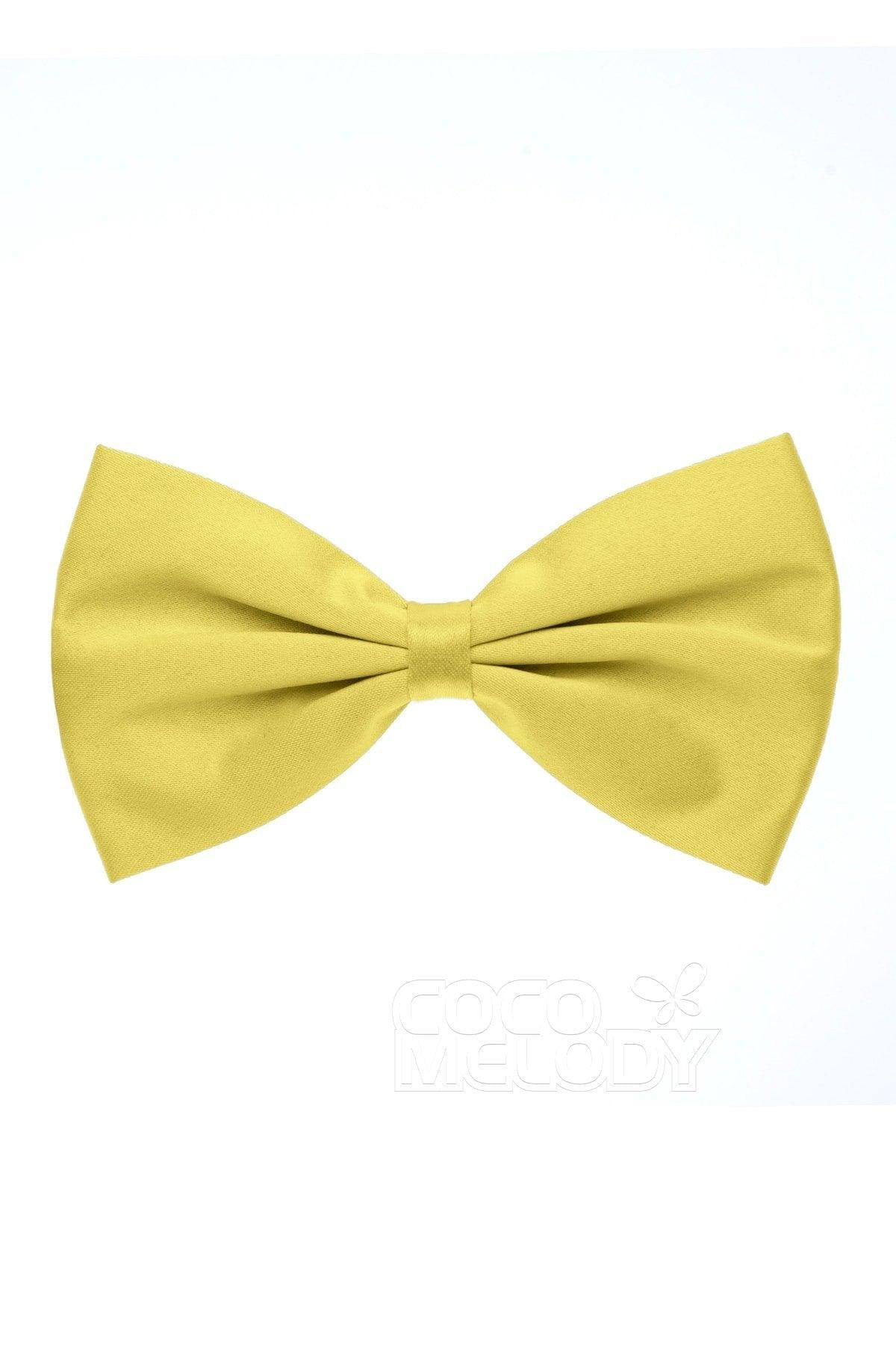 Men's Elastic Silk Like Satin Bow Ties CZ170017 - COCOMELODY