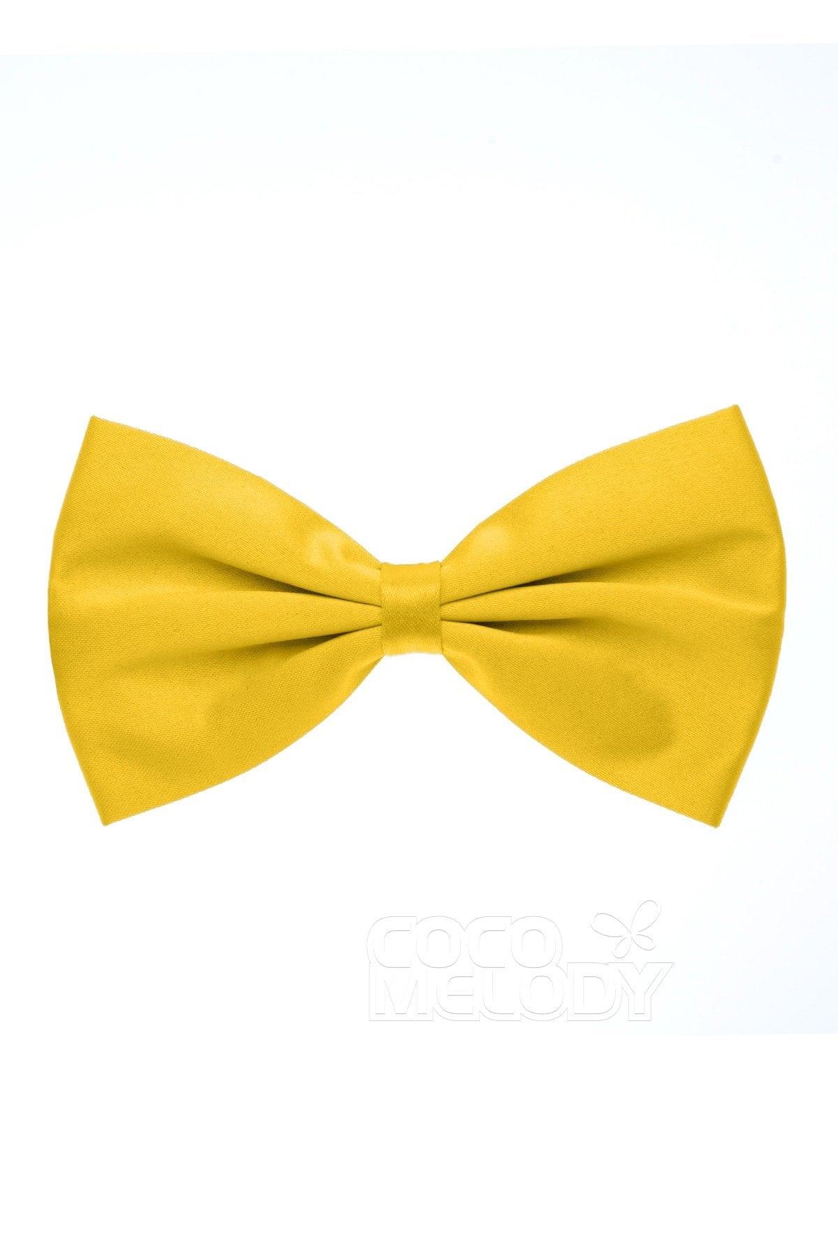 Men's Elastic Silk Like Satin Bow Ties CZ170017 - COCOMELODY