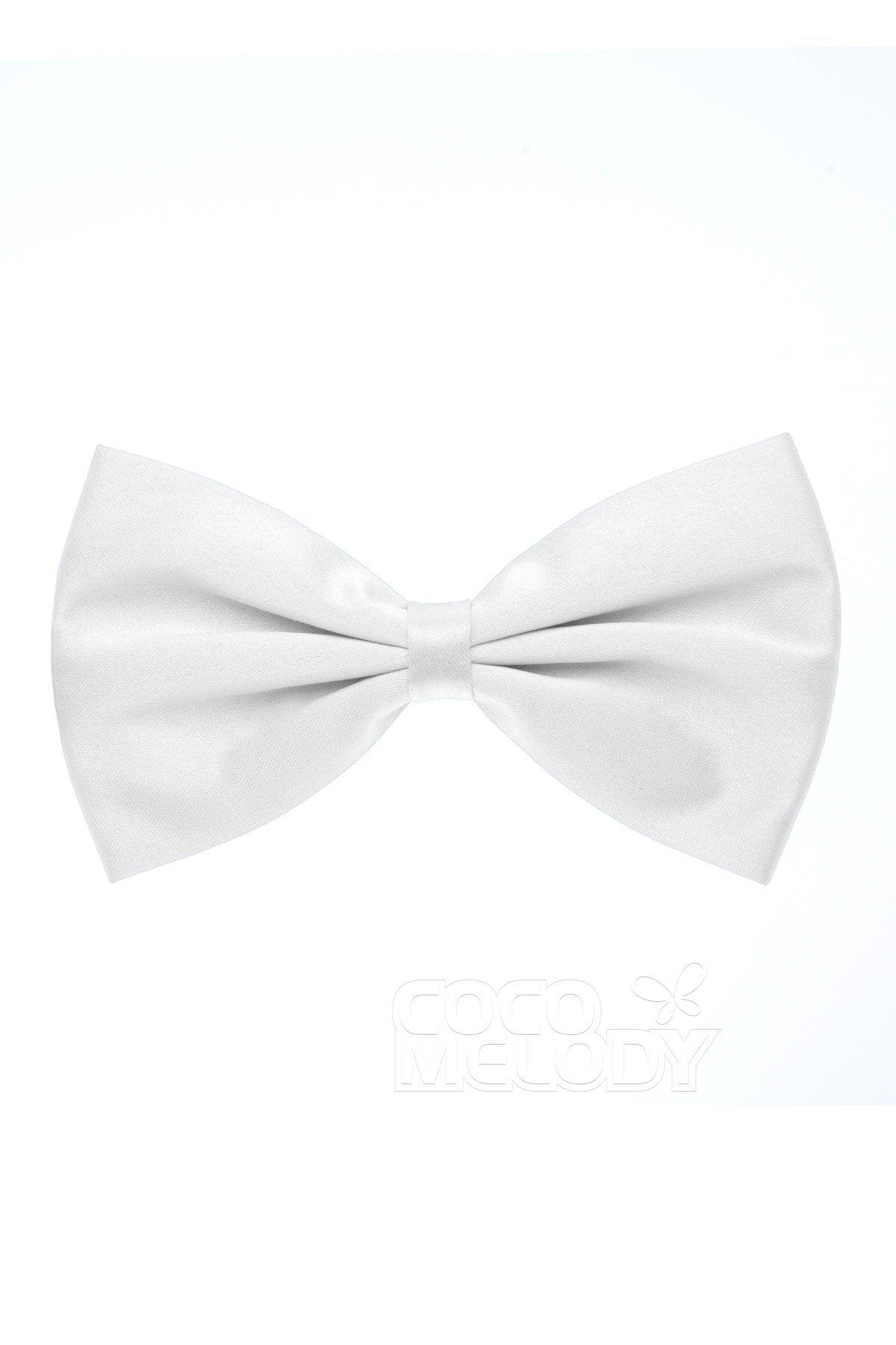 Men's Elastic Silk Like Satin Bow Ties CZ170017 - COCOMELODY