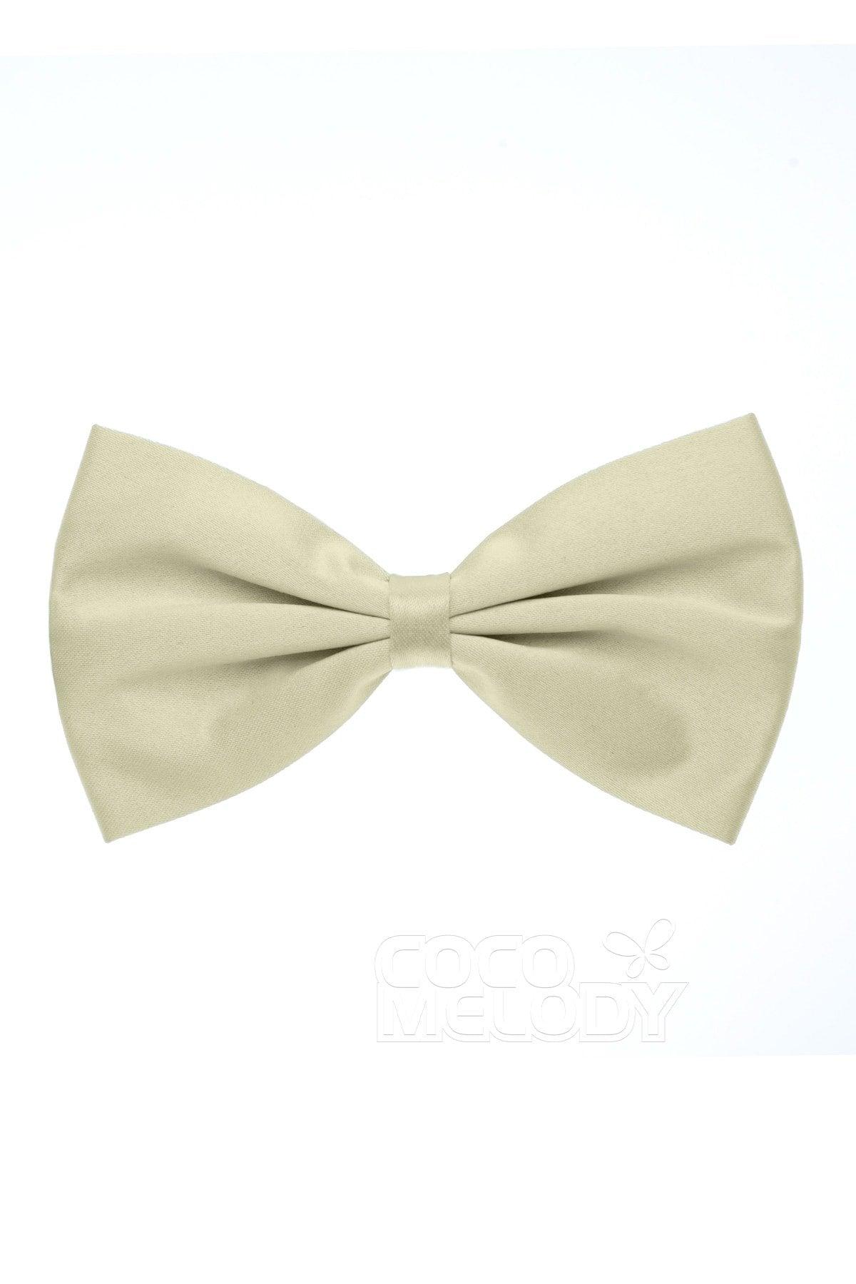 Men's Elastic Silk Like Satin Bow Ties CZ170017 - COCOMELODY