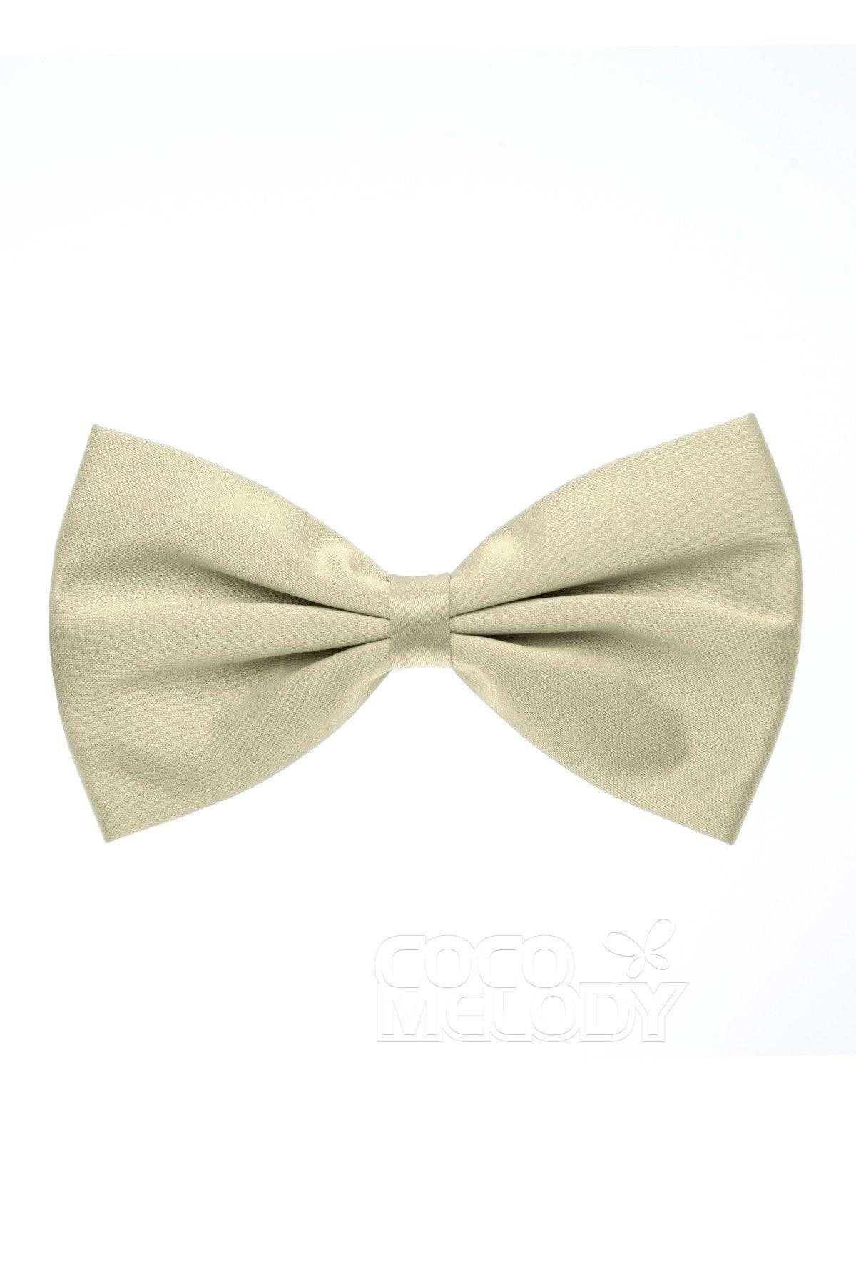 Men's Elastic Silk Like Satin Bow Ties CZ170017 - COCOMELODY