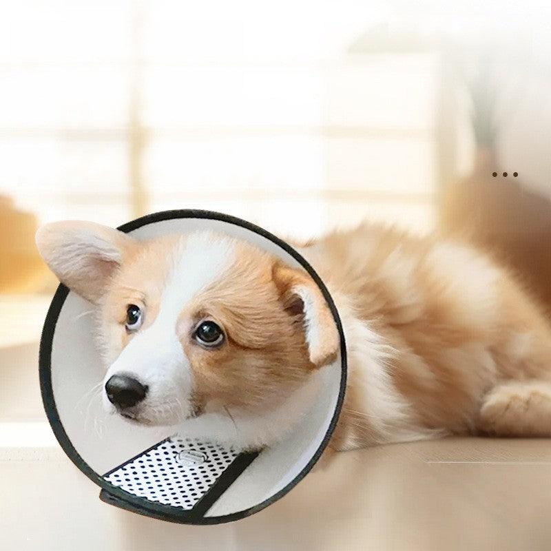 Elisabeth Circle pet protective neck shield protective cover 824969244106 - COCOMELODY