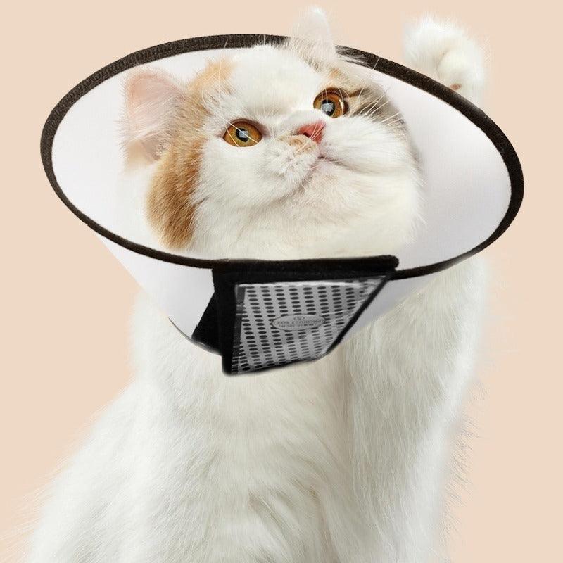 Elisabeth Circle pet protective neck shield protective cover 824969244106 - COCOMELODY