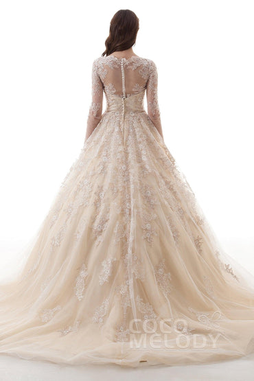 Princess Court Train Lace Tulle Gothic Wedding Dress LD4622 - COCOMELODY