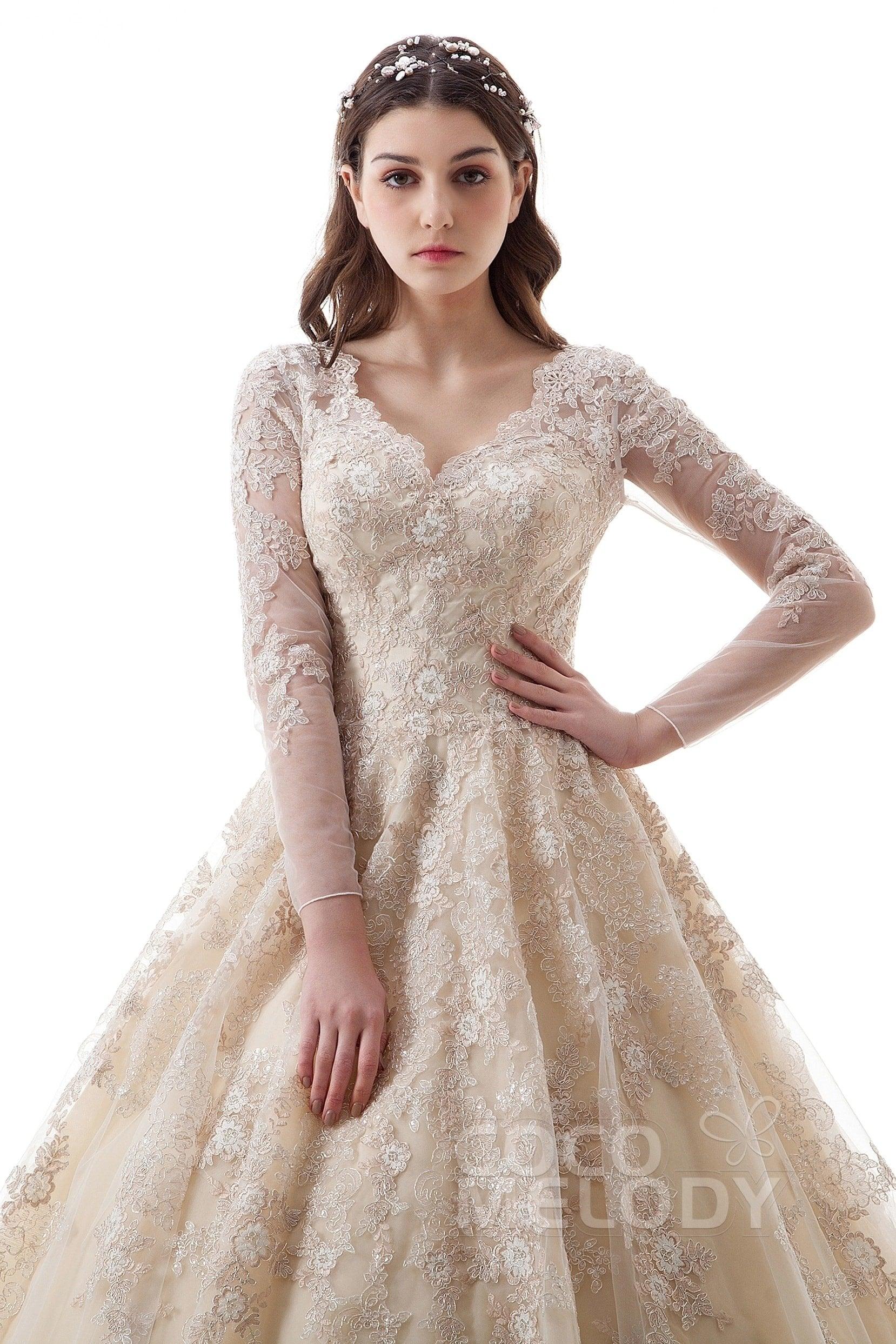 Princess Court Train Lace Tulle Gothic Wedding Dress LD4622 - COCOMELODY